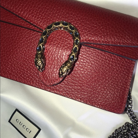 The Gucci Dionysus Mini Leather Bag photo review